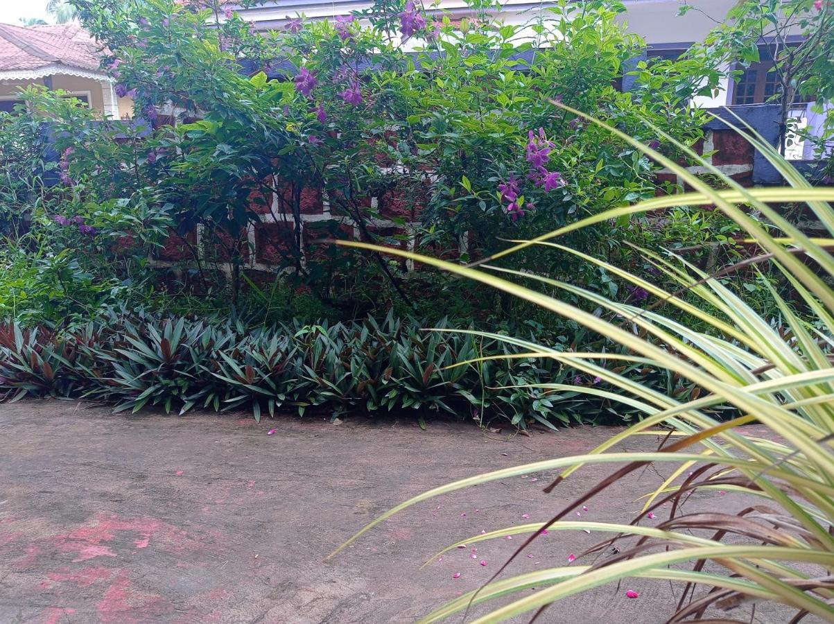 Lobo'S Guesthouse كافيلوسِم المظهر الخارجي الصورة